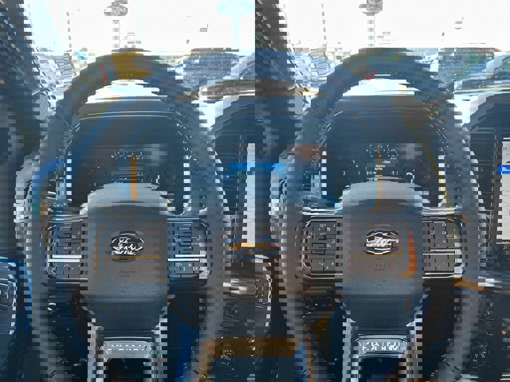 New 2025 Ford F150 Platinum w/ FX4 Off-Road Package image 28