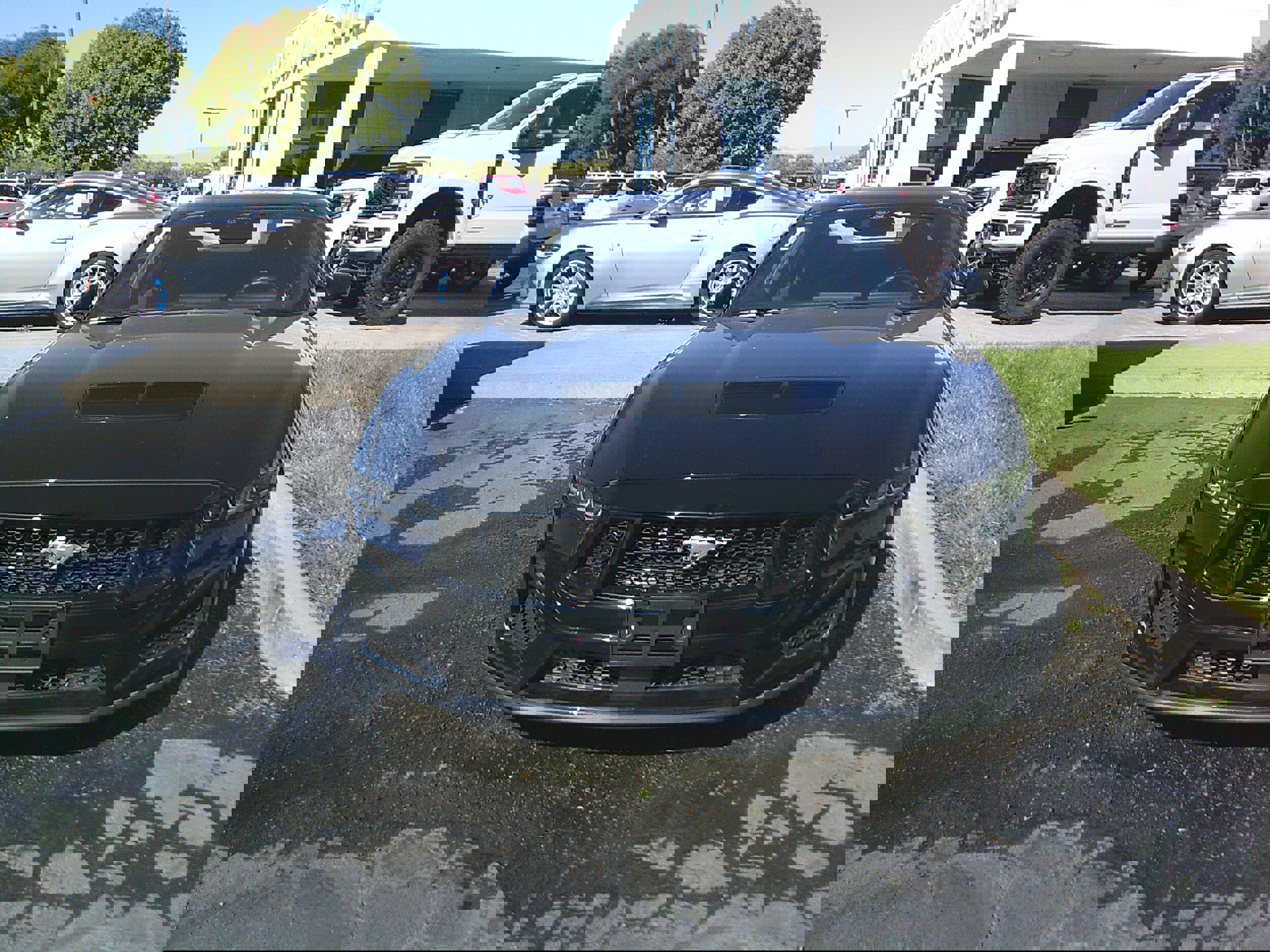 Used 2024 Ford Mustang GT image 2