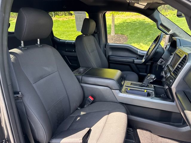 Used 2019 Ford F150 XLT w/ Equipment Group 302A Luxury AWD/4WD image 13