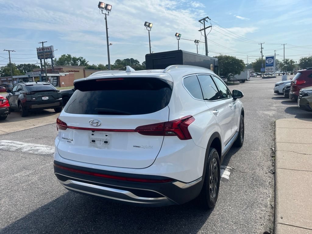 Used 2023 Hyundai Santa Fe Blue AWD/4WD image 4