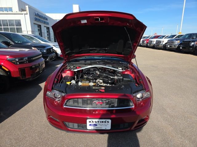 Used 2014 Ford Mustang Premium w/ Equipment Group 201A image 8