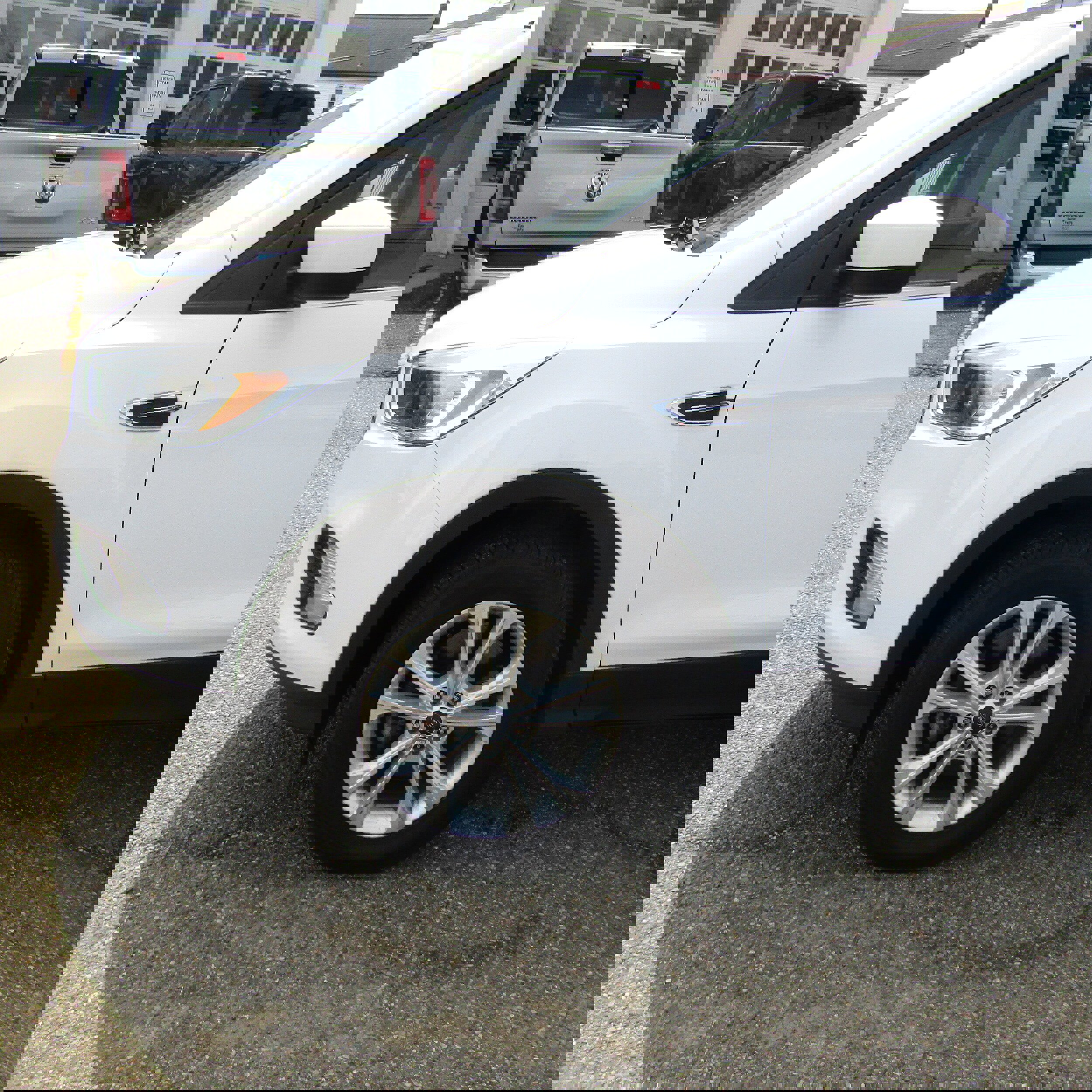 Used 2019 Ford Escape SE image 3