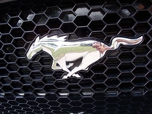 Used 2023 Ford Mustang GT Premium image 38