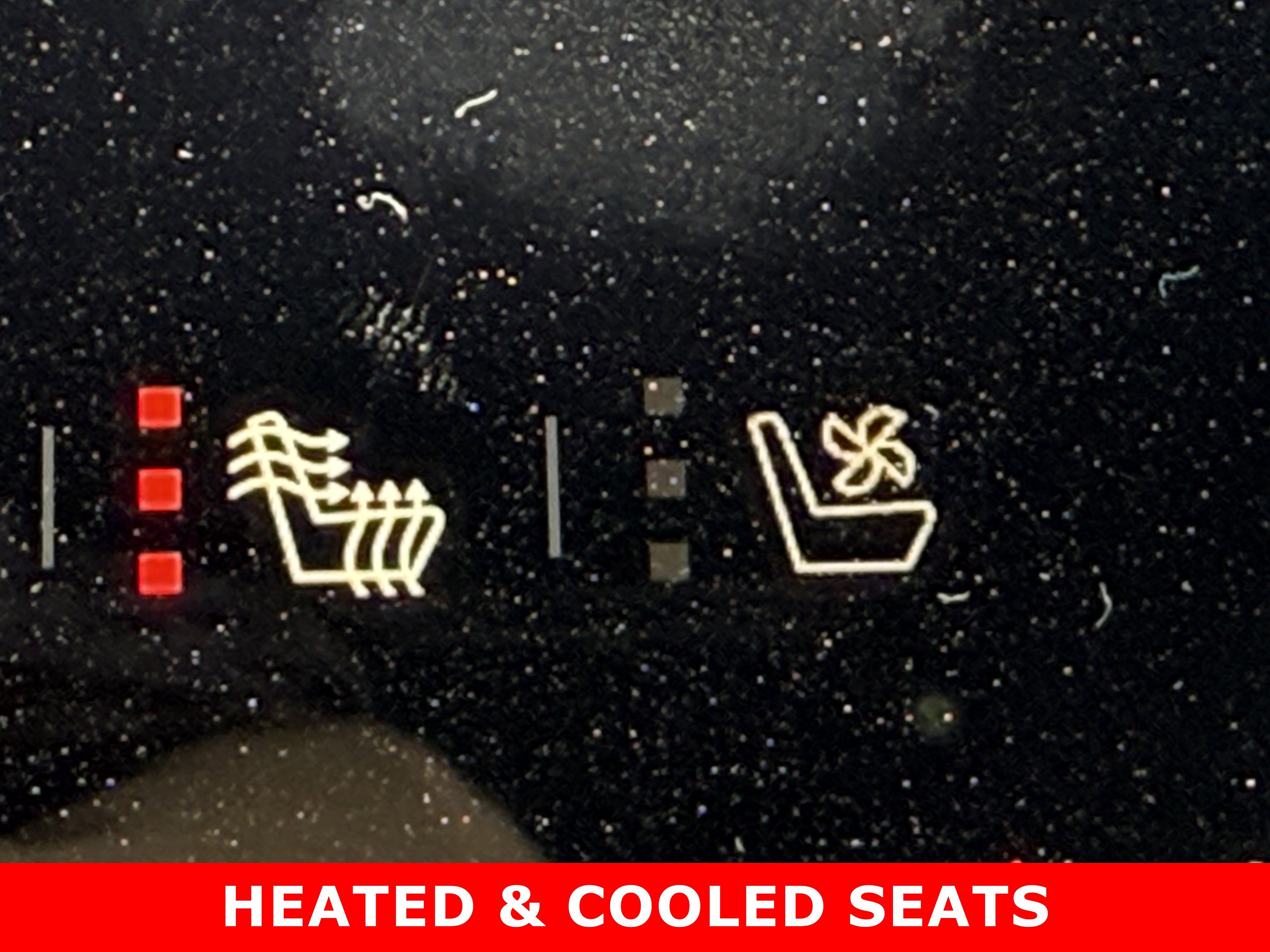 New 2026 GMC Terrain Elevation image 19