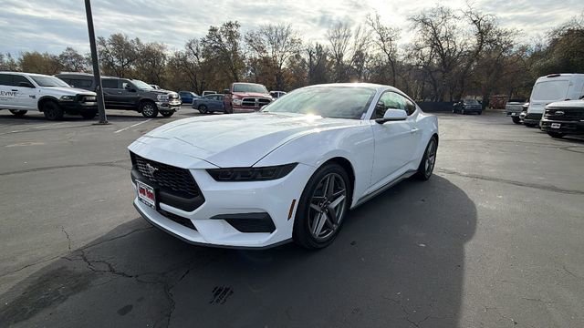 New 2026 Ford Mustang Coupe image 1