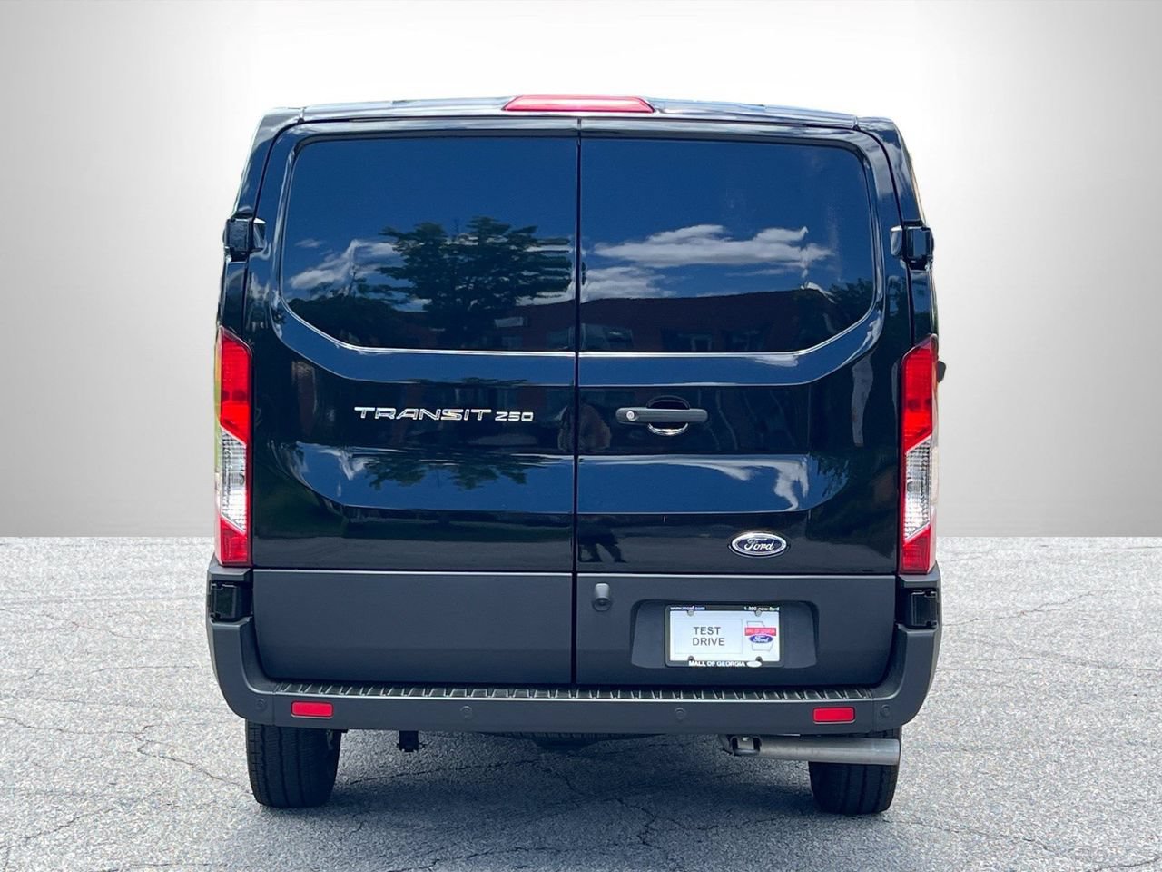 New 2025 Ford Transit 250 Low Roof w/ Load Area Protection Package RWD image 22