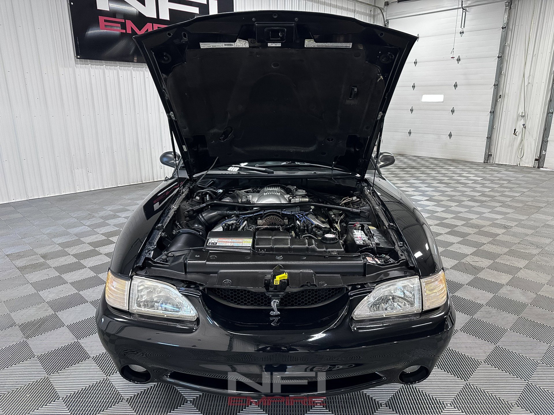 Used 1996 Ford Mustang Cobra RWD image 40