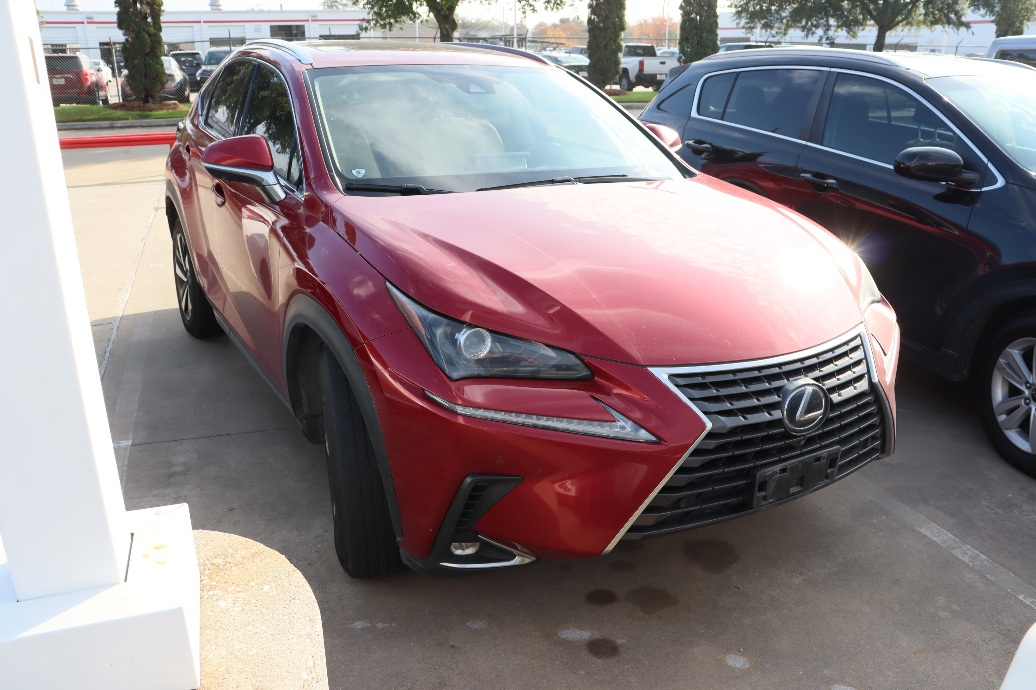 Used 2020 Lexus NX 300h AWD w/ Premium Package image 2