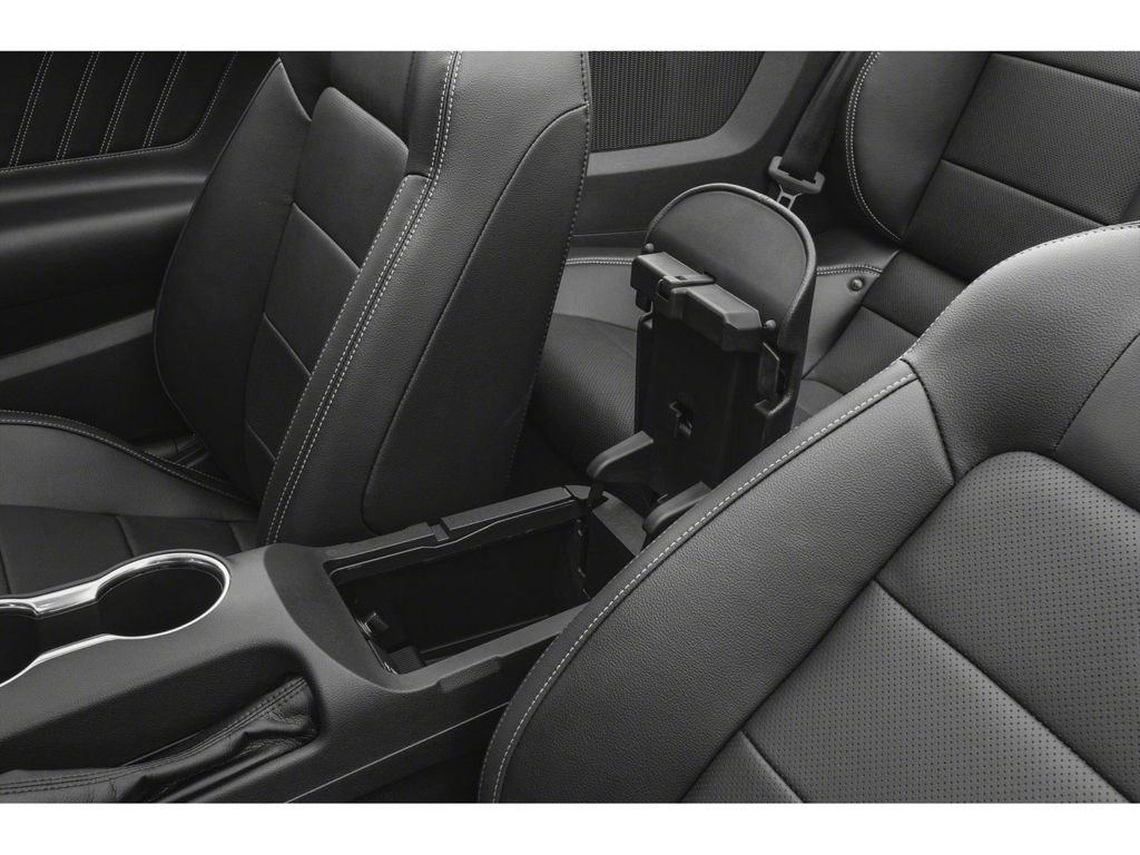 Used 2019 Ford Mustang Premium w/ Equipment Group 201A RWD image 9