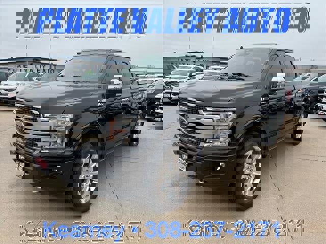 Used 2019 Ford F150 Platinum w/ Equipment Group 701A Luxury image 1