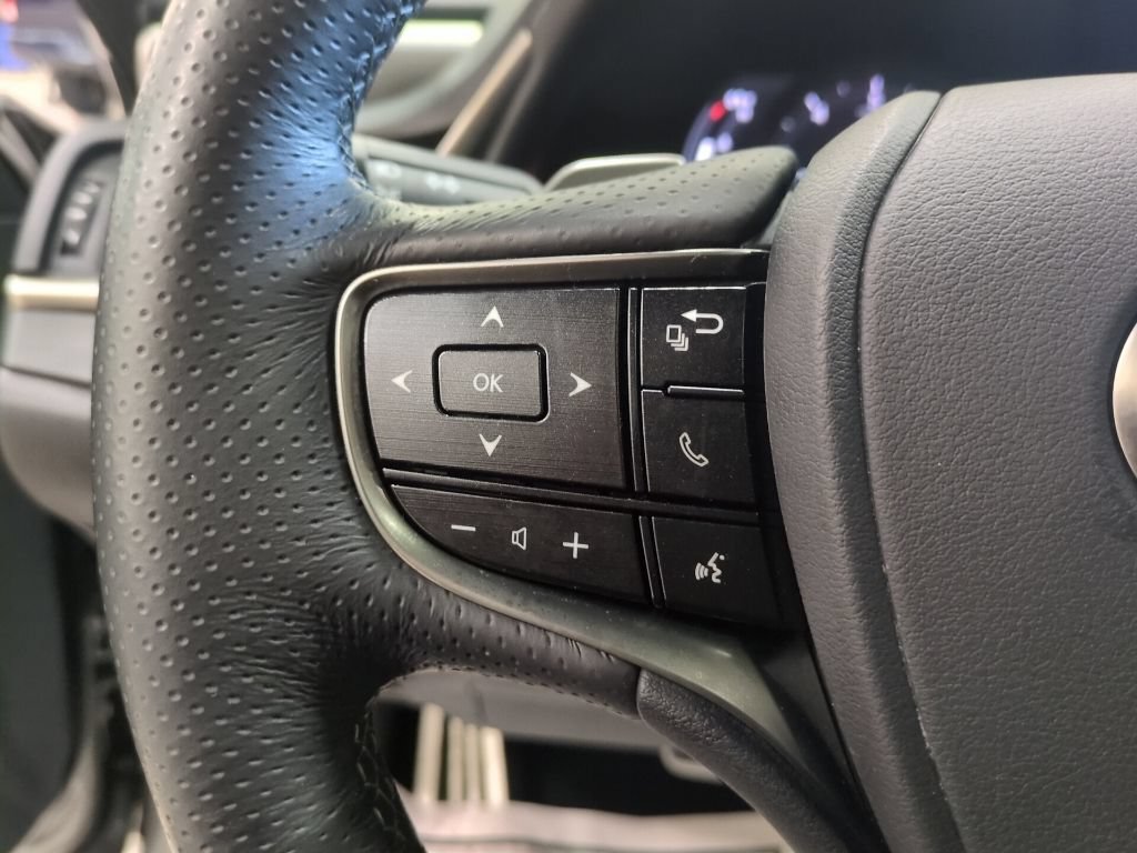 Used 2019 Lexus ES 350 F Sport w/ Accessory Package 2 FWD image 25