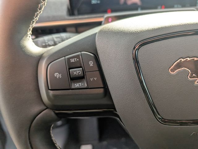 New 2025 Ford Mustang Mach-E GT w/ Interior Protection Package image 17