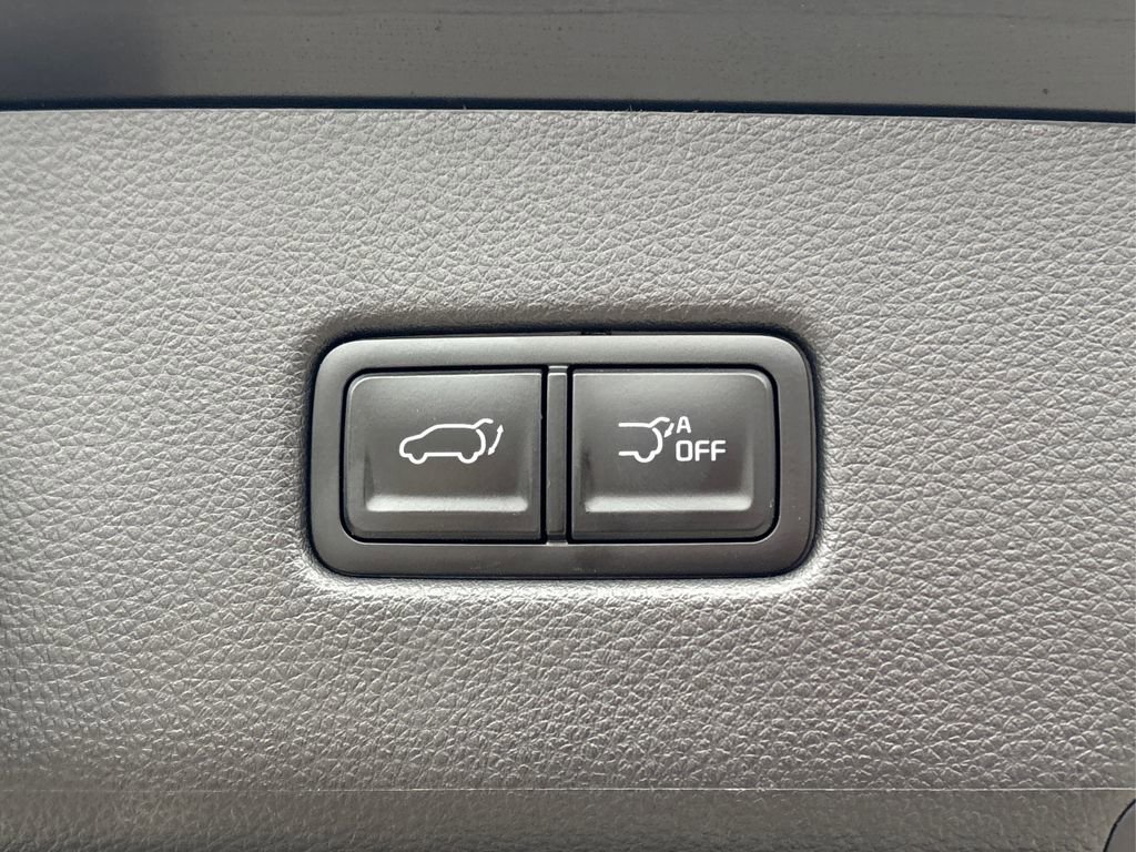 Used 2024 Kia Carnival SX image 14