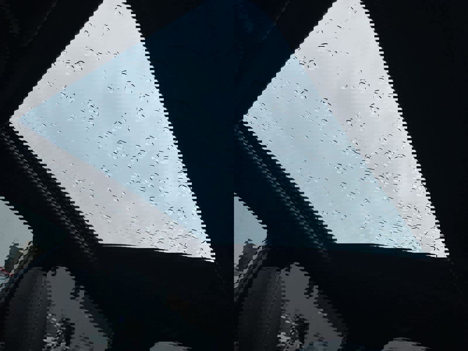 Certified 2024 Subaru Forester Wilderness image 14