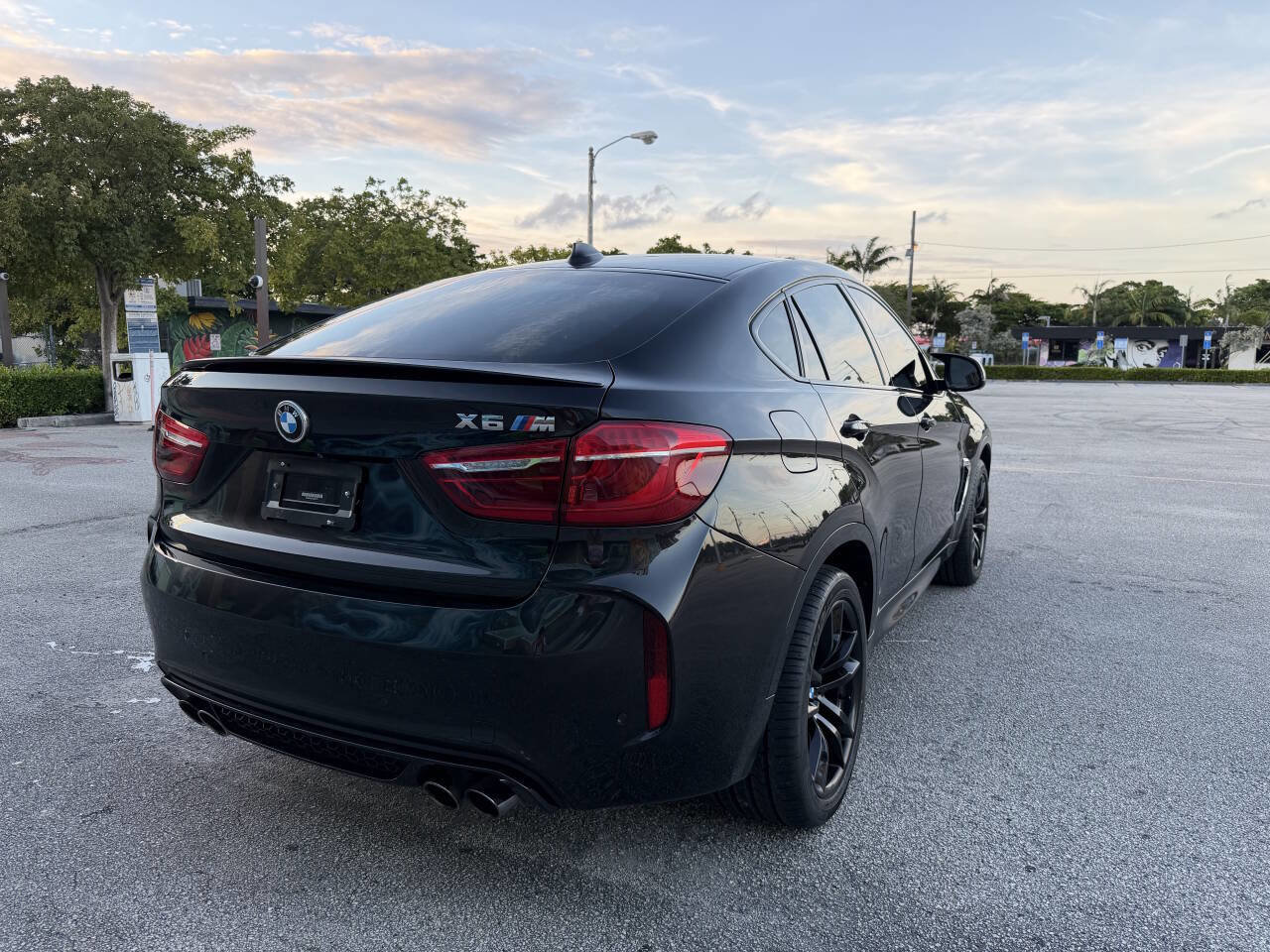 Used 2016 BMW X6 M Base AWD 4dr SUV image 6