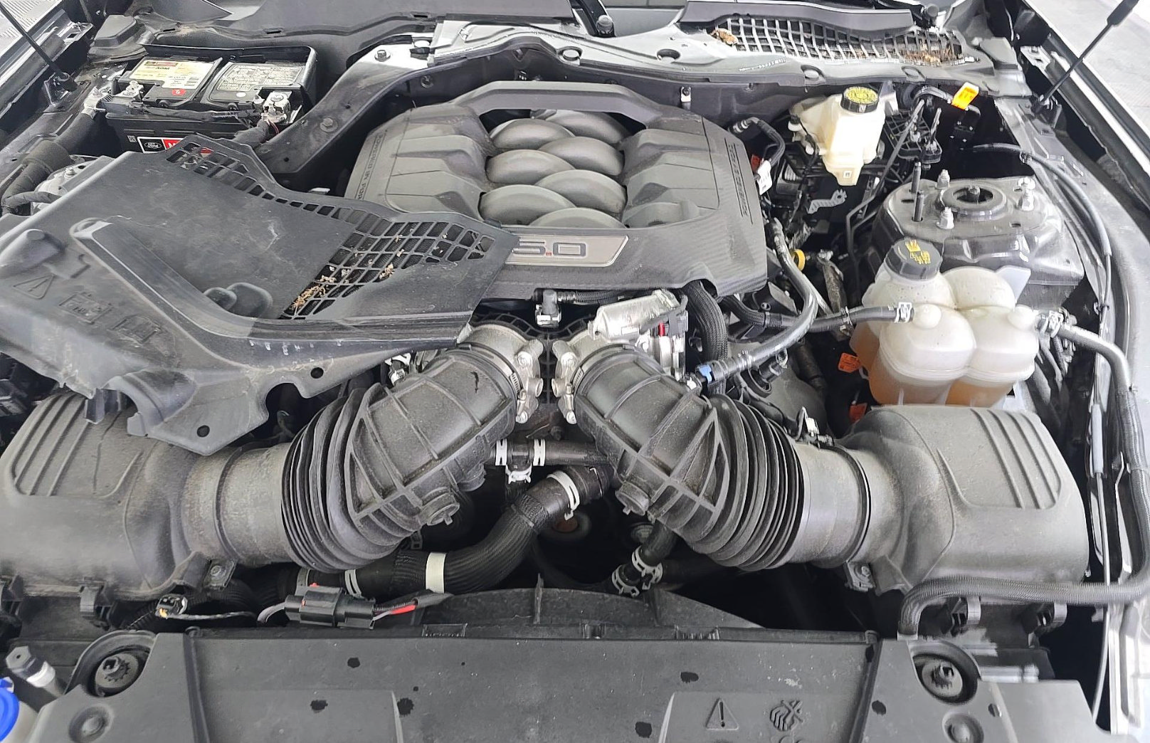 Used 2024 Ford Mustang GT Premium RWD image 13