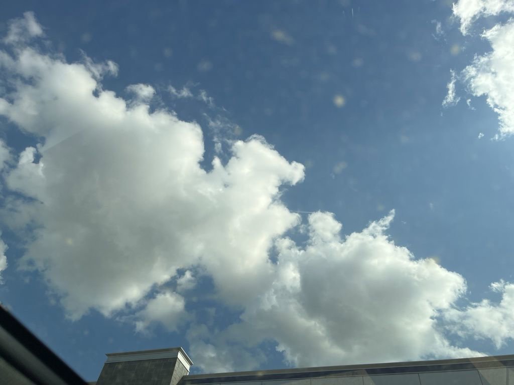 Used 2023 Audi A4 2.0T Premium Plus w/ Premium Plus Package image 21