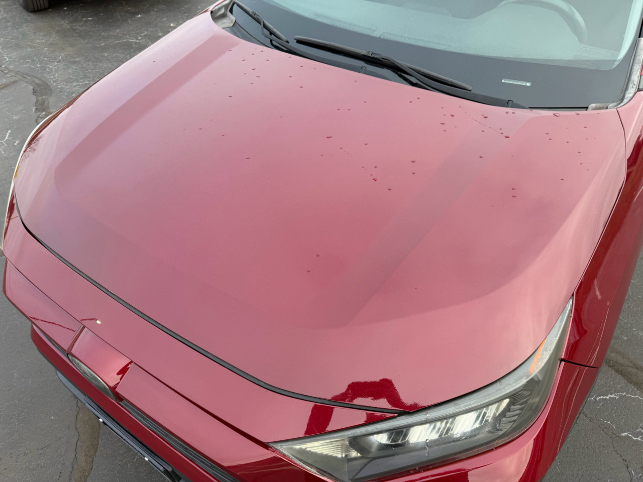 Used 2019 Toyota RAV4 LE image 14