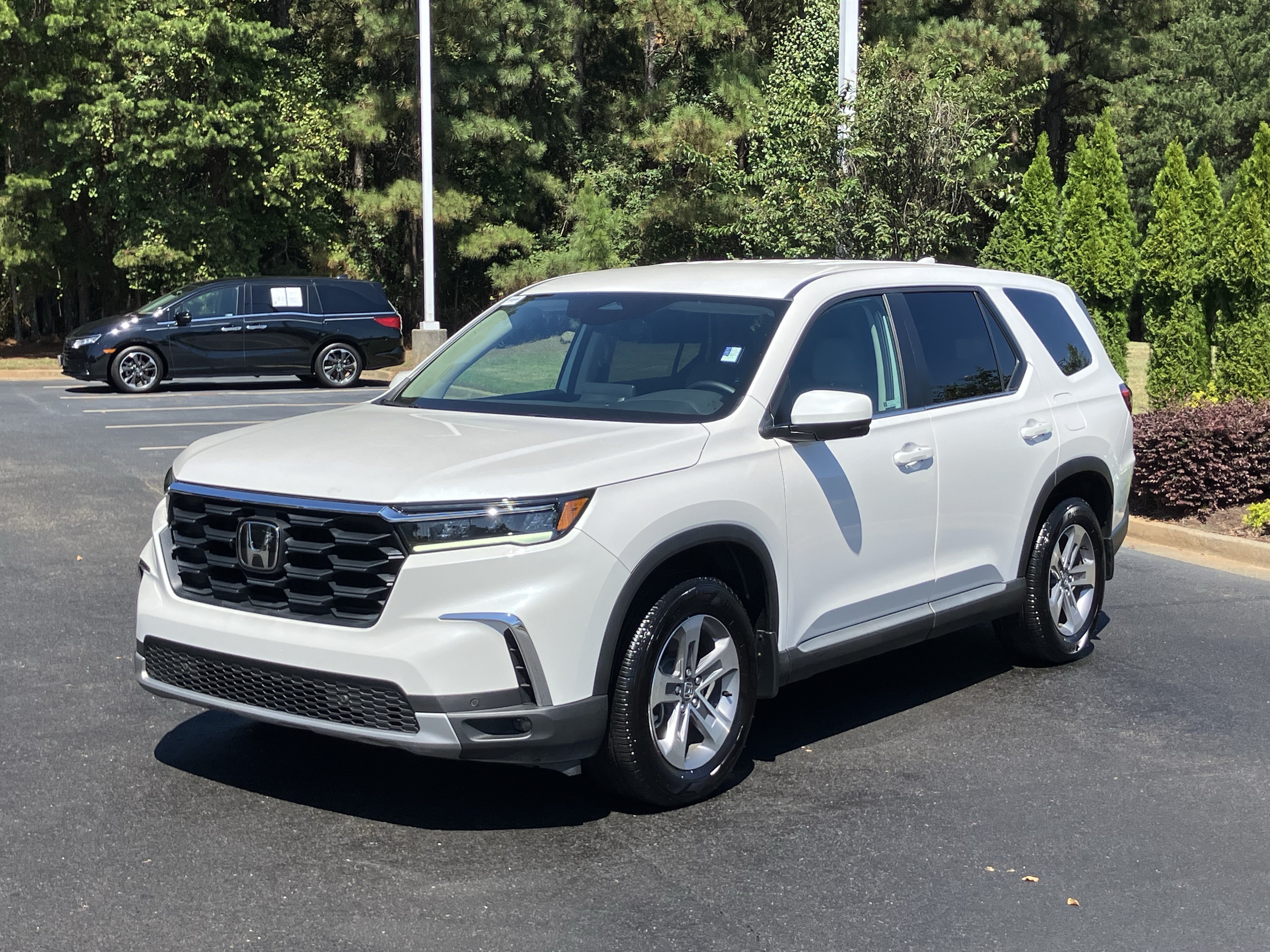 Used 2025 Honda Pilot EX-L image 6