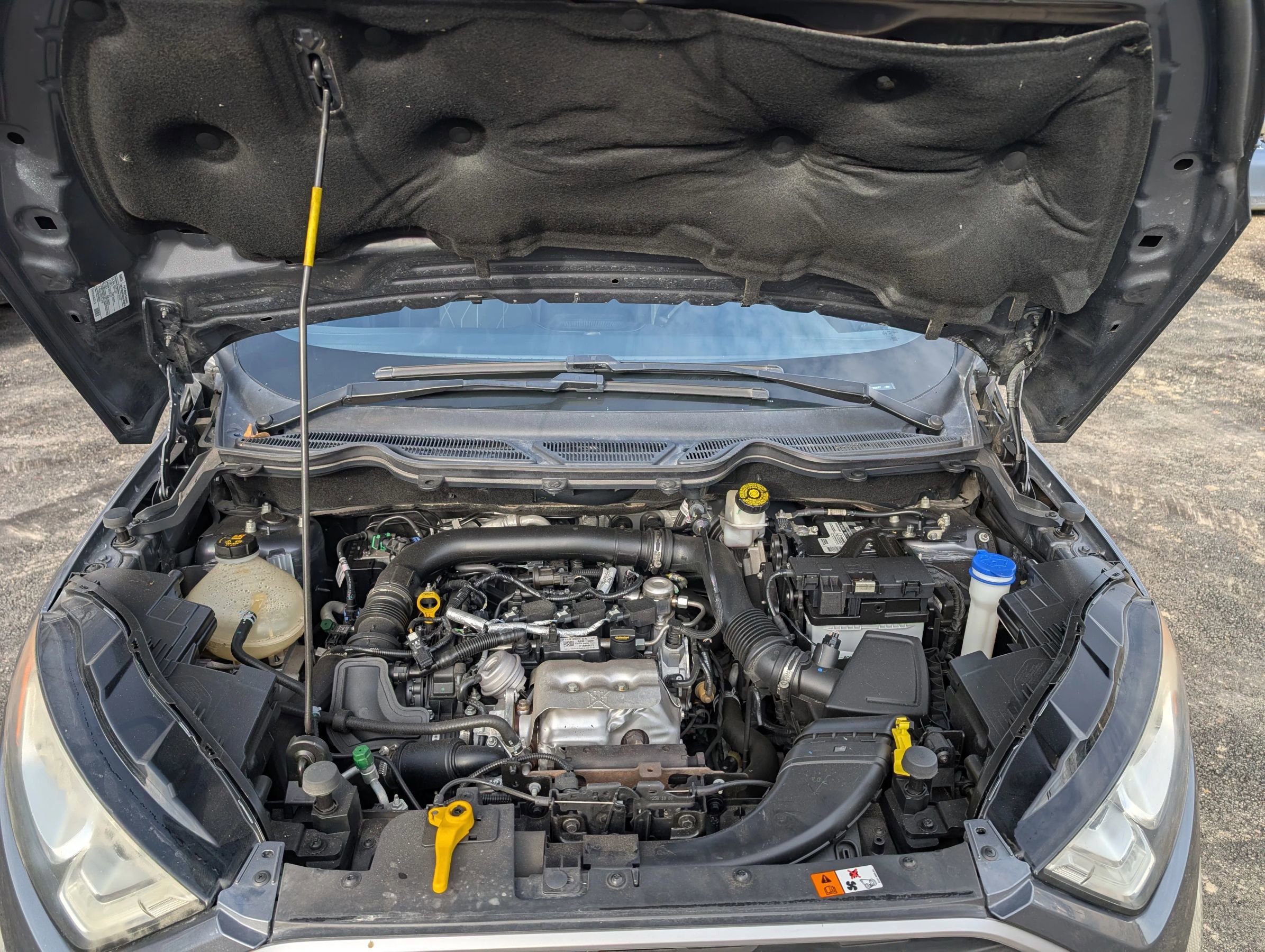 Used 2019 Ford EcoSport SE w/ SE Convenience Package FWD image 28