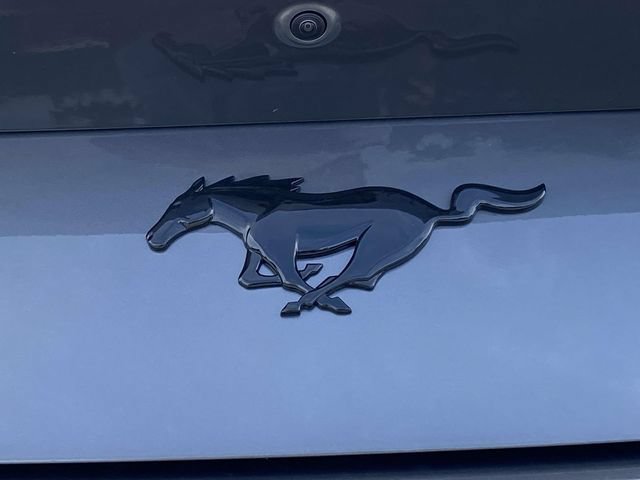 New 2026 Ford Mustang Coupe w/ Mustang Nite Pony Package RWD image 9