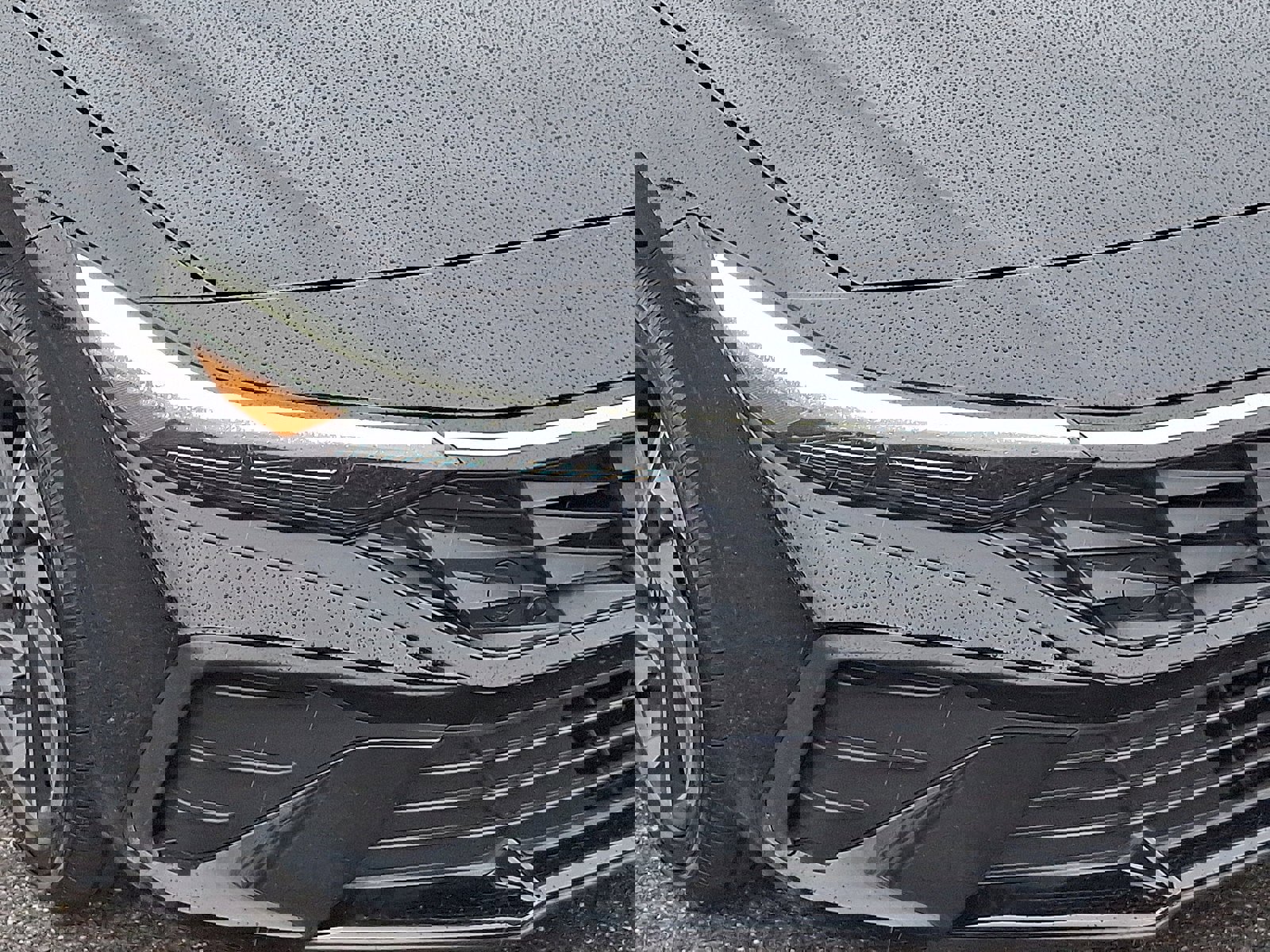 Certified 2025 Hyundai Elantra SEL image 9