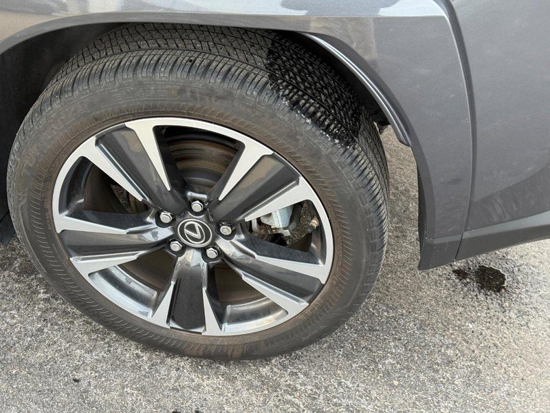 Used 2022 Lexus UX 250h w/ Premium Package image 7