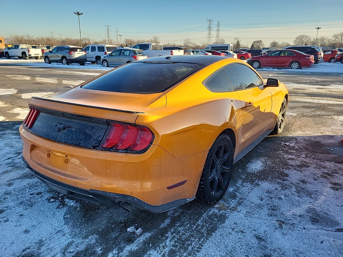 Used 2019 Ford Mustang Coupe w/ Equipment Group 101A image 6