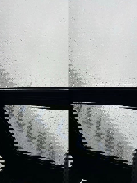 Used 2024 Ford F150 Raptor image 16