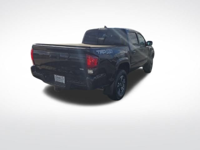 Used 2019 Toyota Tacoma TRD Sport image 7