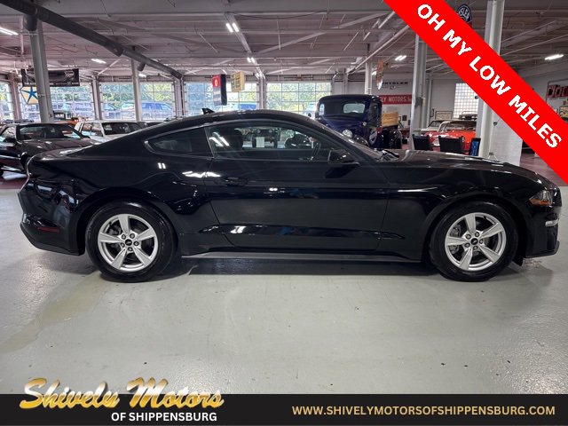 Used 2022 Ford Mustang EcoBoost image 6