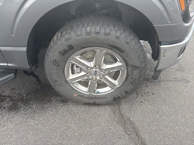 Used 2025 Ford F150 XLT w/ Equipment Group 301A Standard image 10