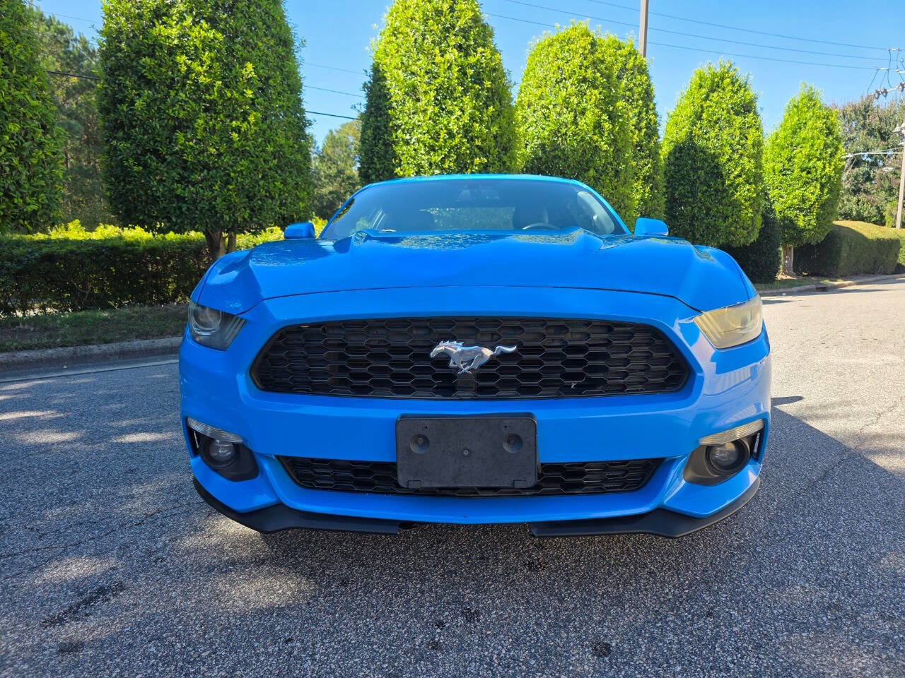 Used 2017 Ford Mustang Premium image 8