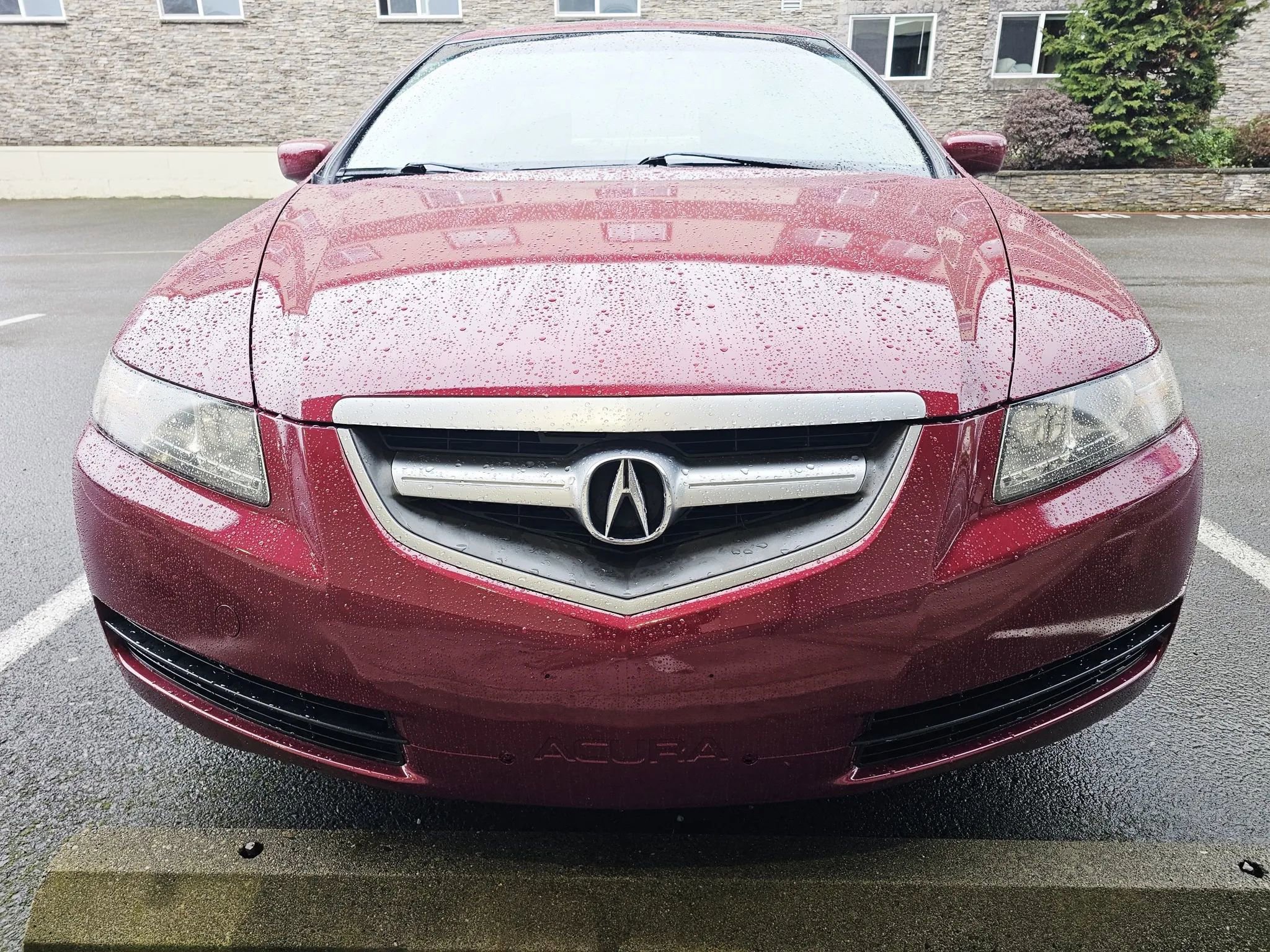 Used 2005 Acura TL image 8