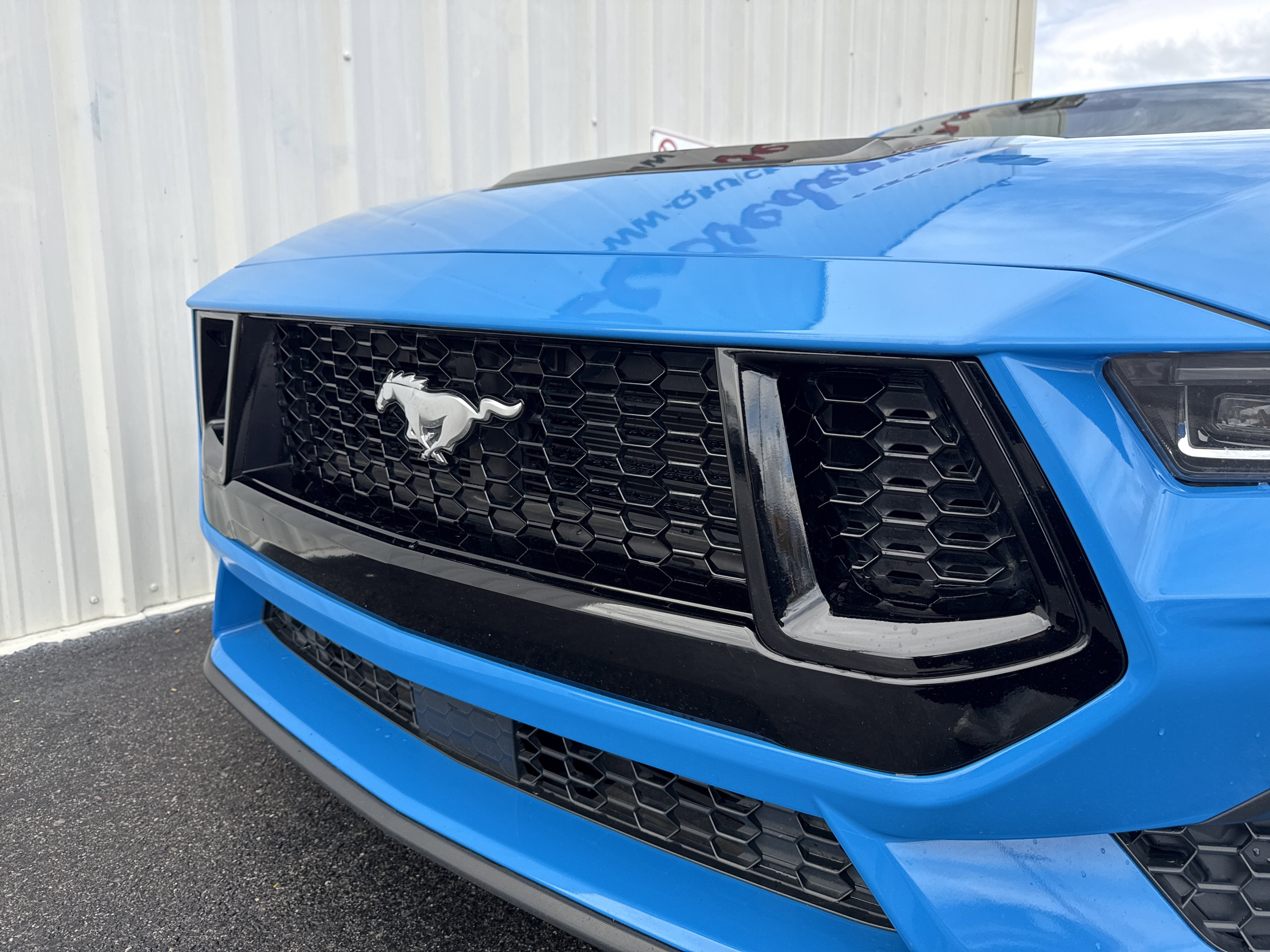 Used 2024 Ford Mustang GT Premium image 8