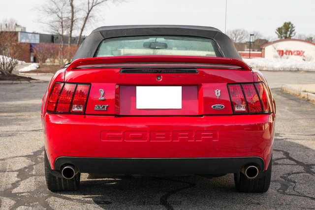 Used 1999 Ford Mustang Cobra RWD image 20