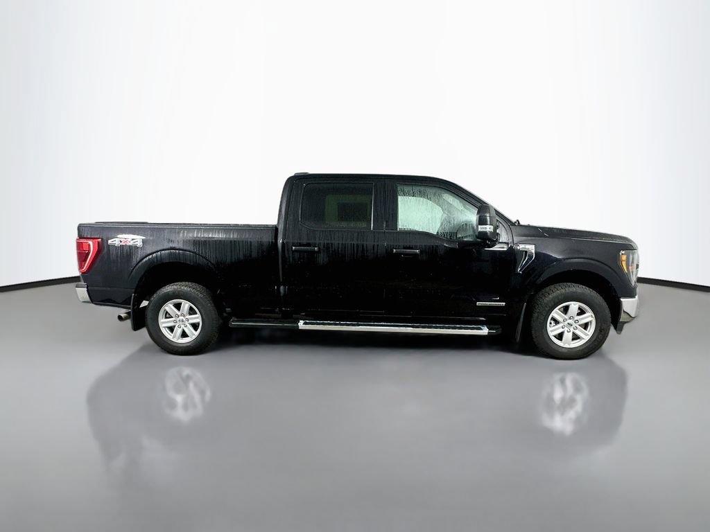 Used 2023 Ford F150 XLT w/ Equipment Group 301A Mid AWD/4WD image 7