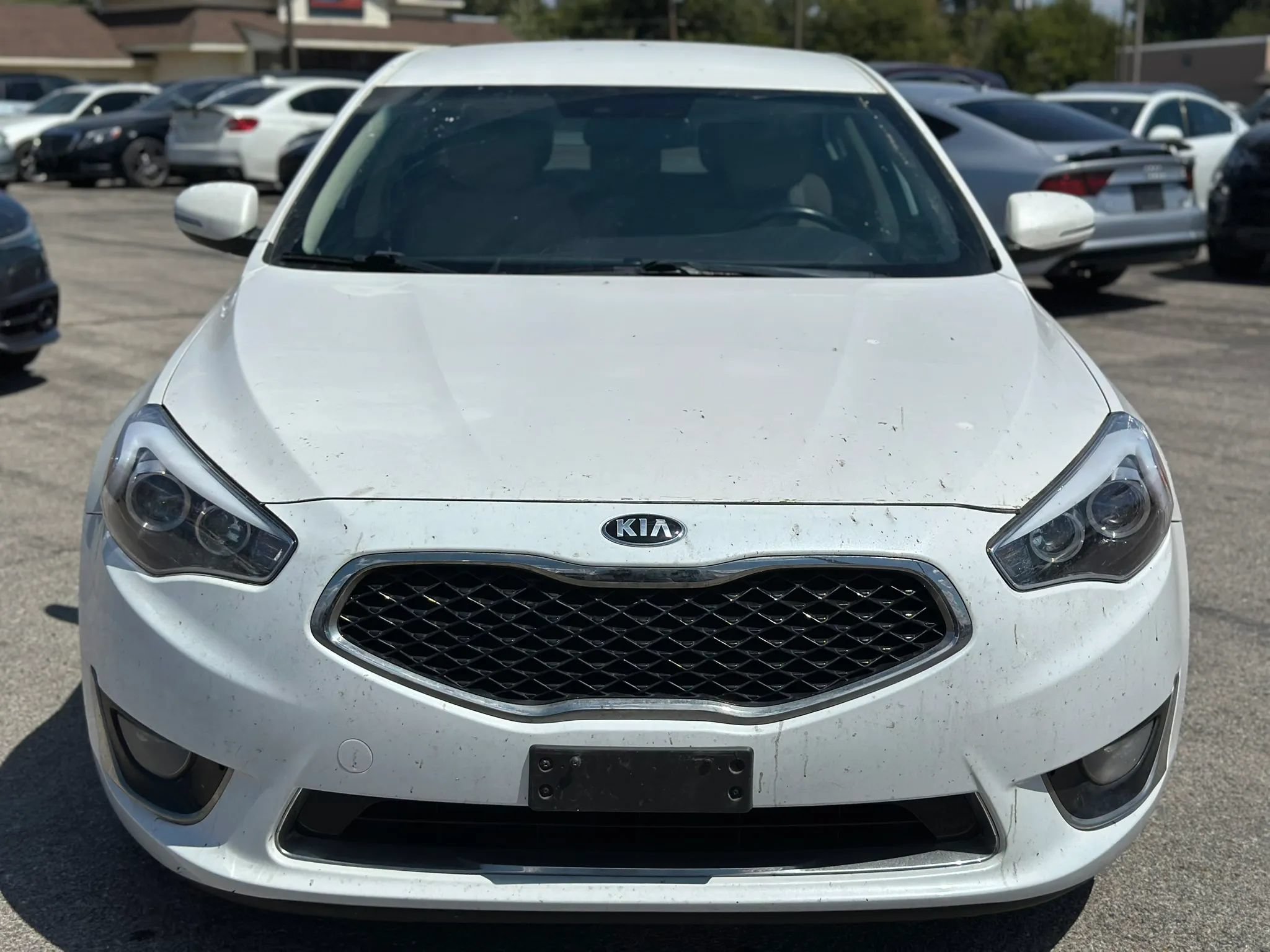 Used 2016 Kia Cadenza FWD image 3