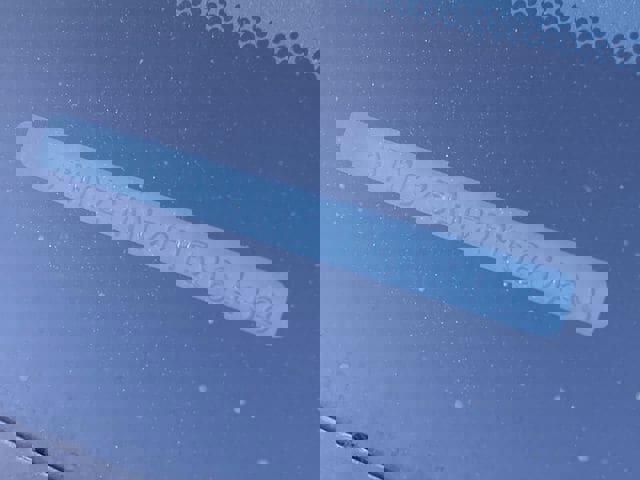 Used 2023 Toyota Tacoma TRD Off-Road image 12