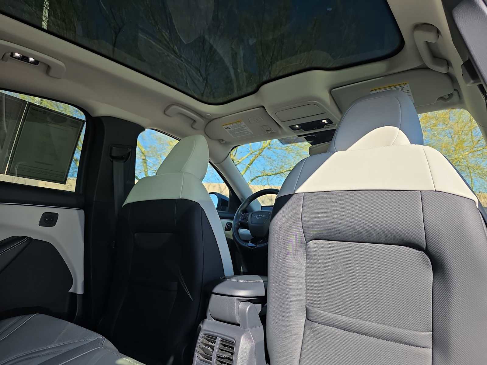 Used 2021 Ford Mustang Mach-E Premium image 16