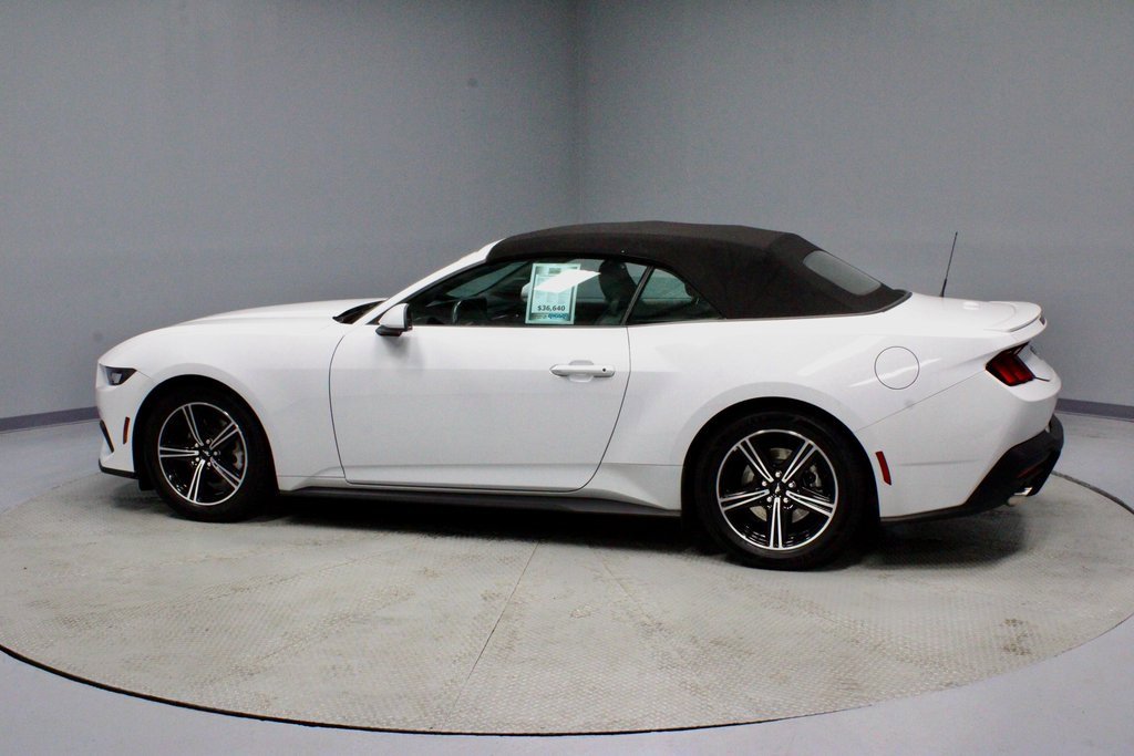 Certified 2024 Ford Mustang Premium image 8