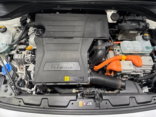 Used 2019 Hyundai Ioniq Blue FWD image 6