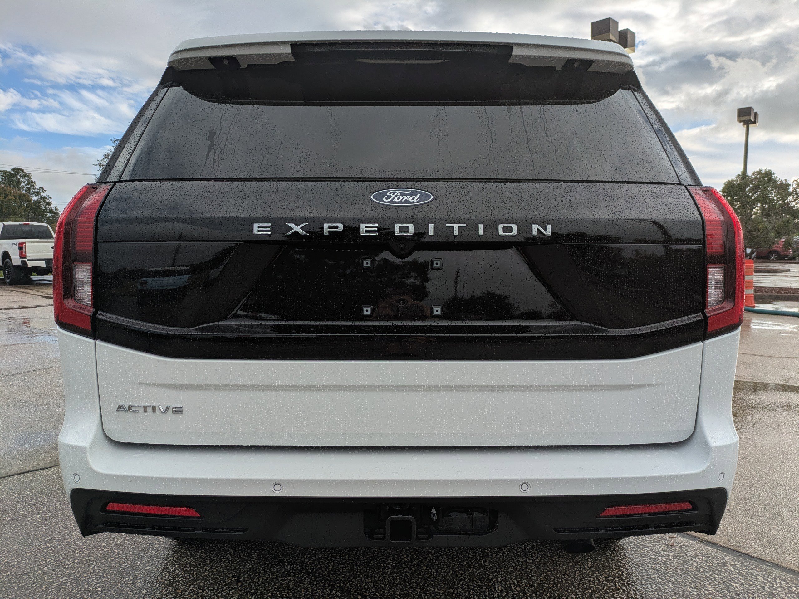 New 2025 Ford Expedition Active image 5
