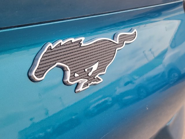 New 2026 Ford Mustang Mach-E Premium w/ Technology Package RWD image 10