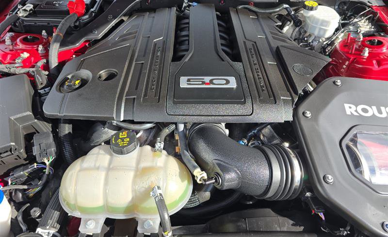 Used 2023 Ford Mustang GT Premium w/ Mustang Nite Pony Package image 10