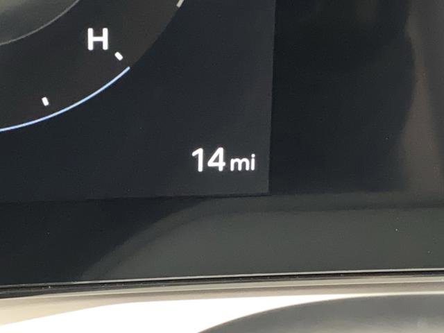 New 2026 Hyundai Palisade Calligraphy image 6