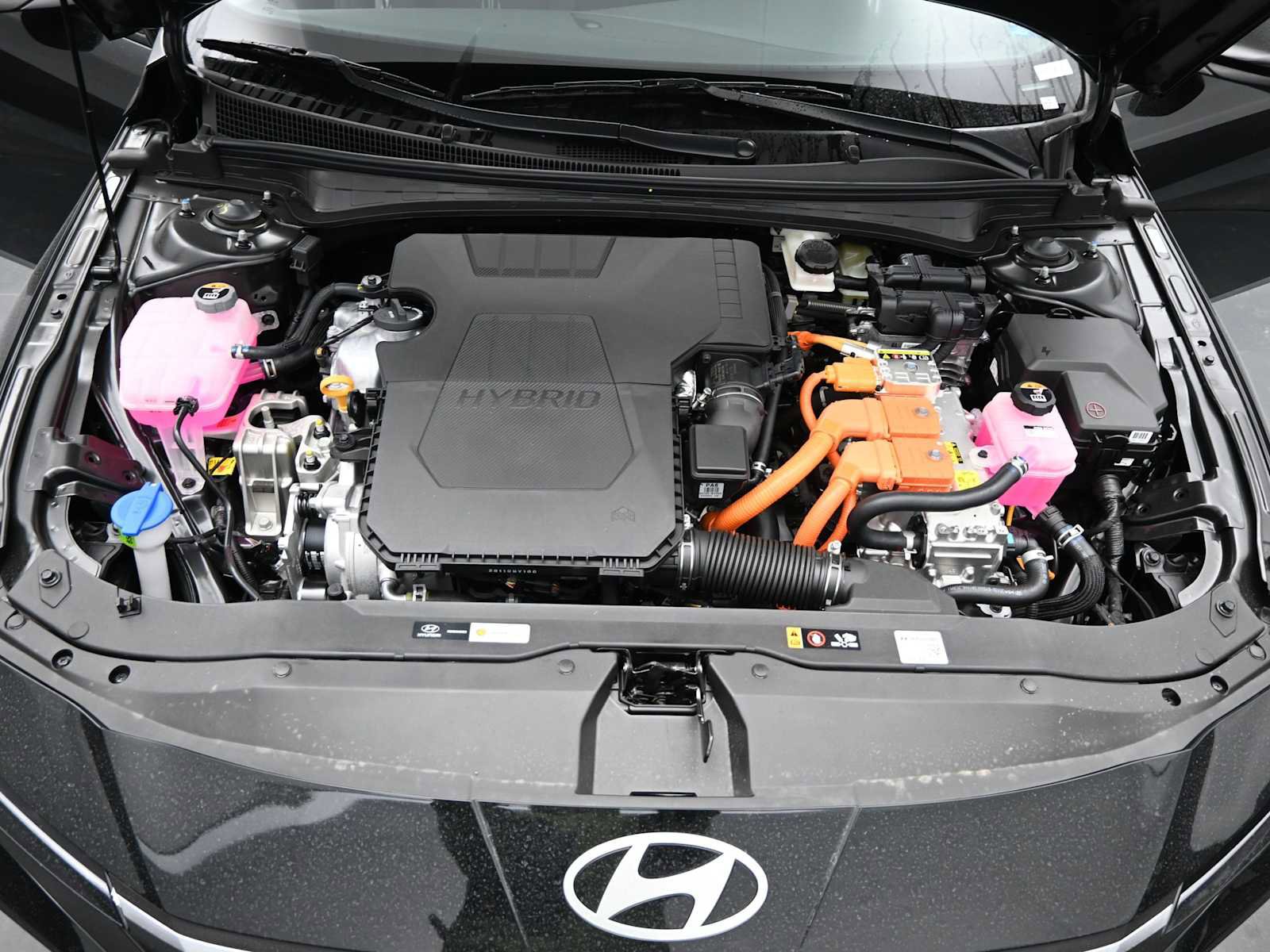 New 2026 Hyundai Elantra Blue image 22