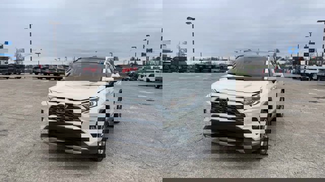 Used 2019 Toyota RAV4 Limited image 4