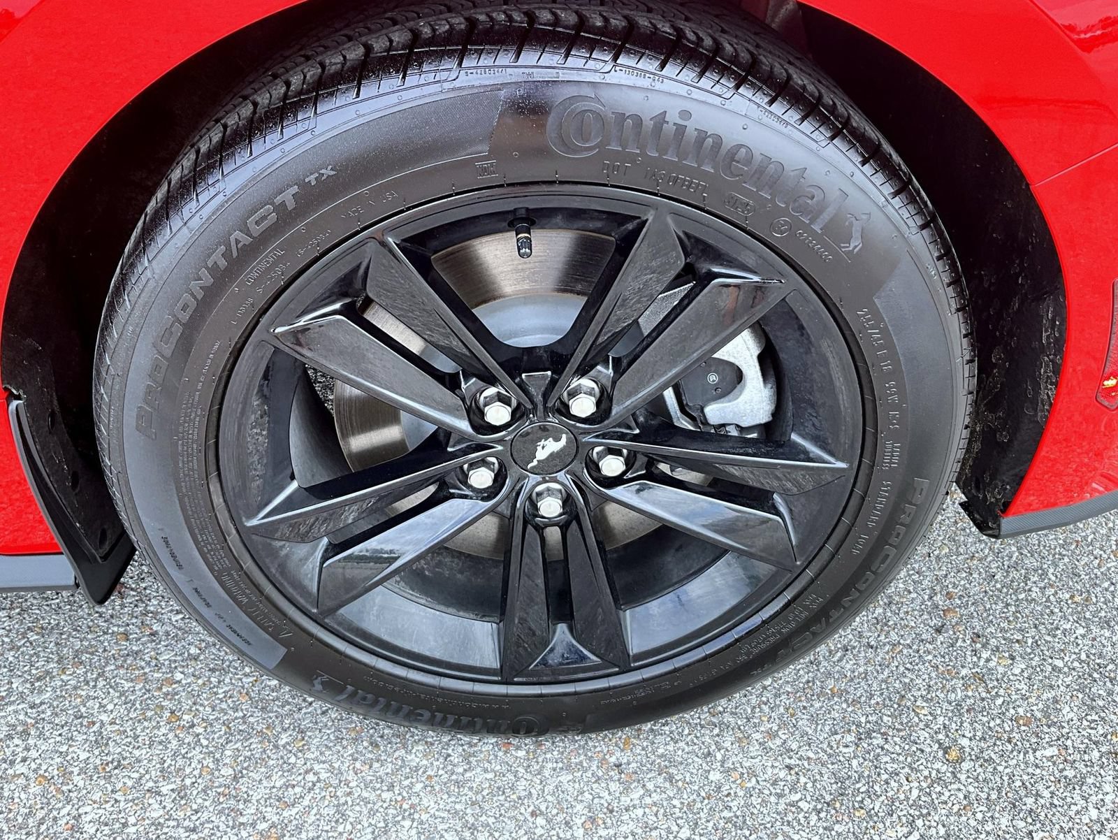 Used 2026 Ford Mustang GT RWD image 22