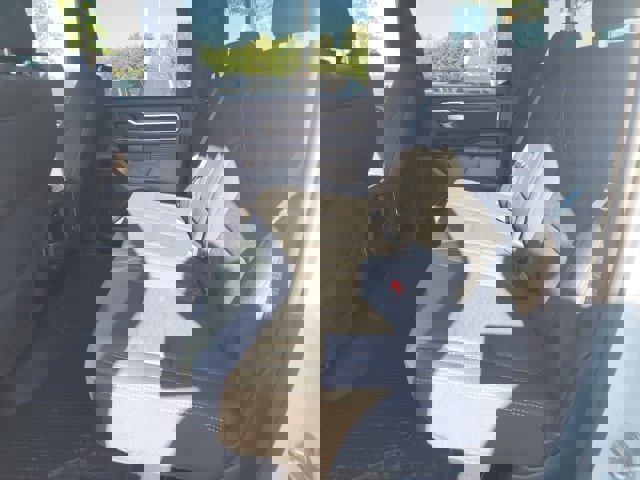 New 2025 RAM 1500 Big Horn image 20